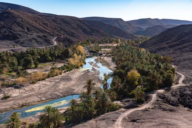 L’oasis de Fint avec sa rivière et ses palmiers.