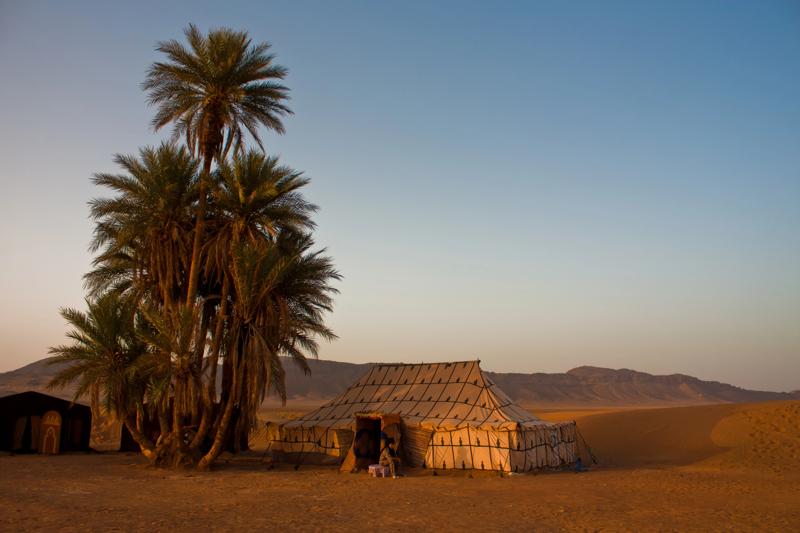 Campement traditionnel et palmiers dans le désert de Zagora.