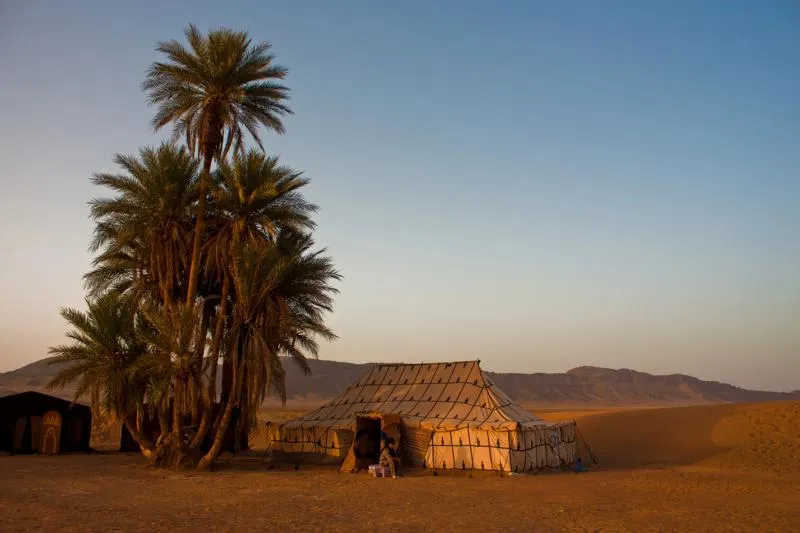 Campement traditionnel et palmiers dans le désert de Zagora.