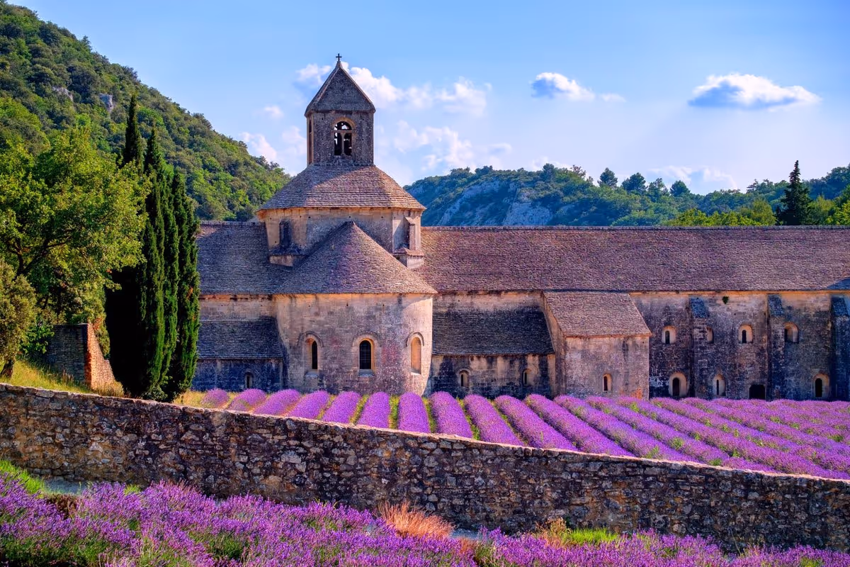 Abbaye provençale entourée de champs de lavande en fleur en Provence sous un ciel bleu