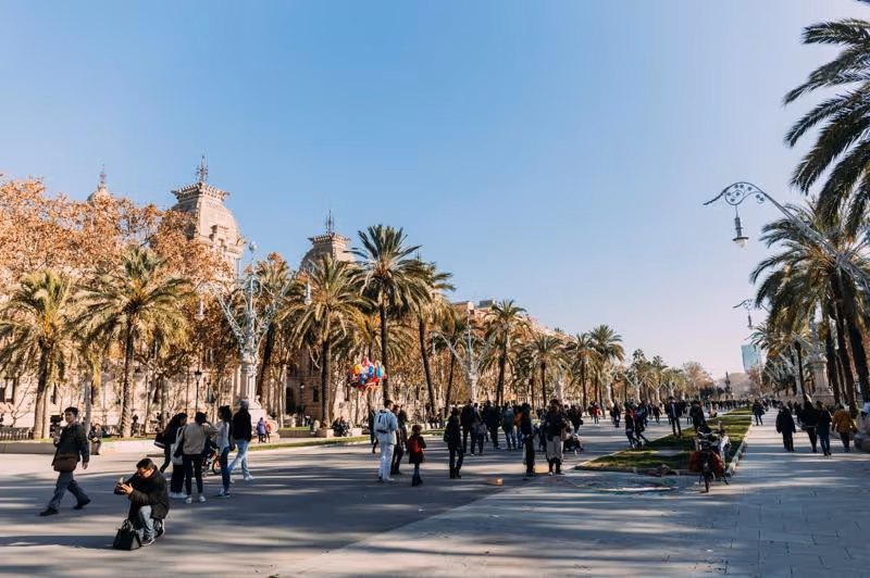 Promenade sur La Rambla à Barcelone avec palmiers, passants et architecture historique