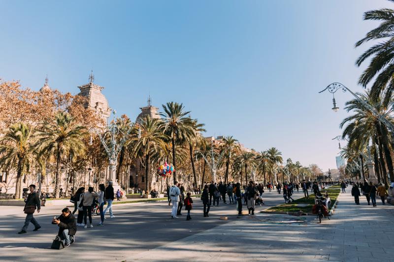 Promenade sur La Rambla à Barcelone avec palmiers, passants et architecture historique