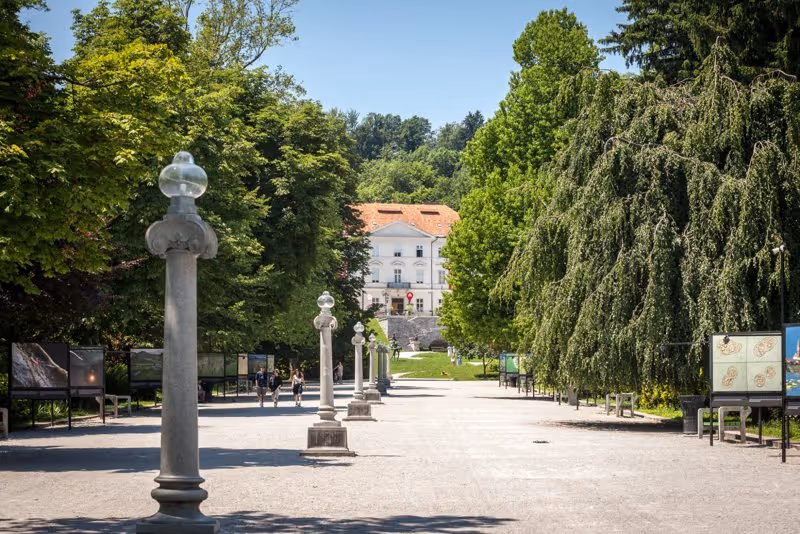 Allée principale du parc Tivoli à Ljubljana entourée d’arbres et de sculptures