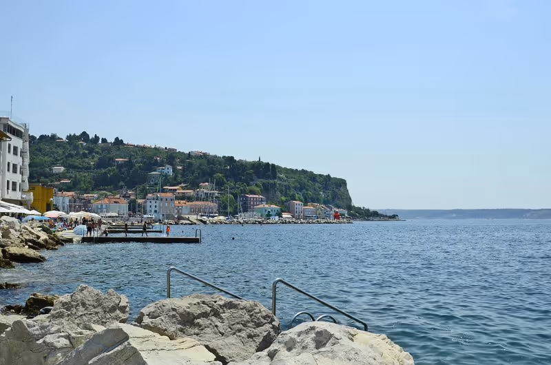 Baignade au pied des remparts de Piran sur la côte adriatique slovène