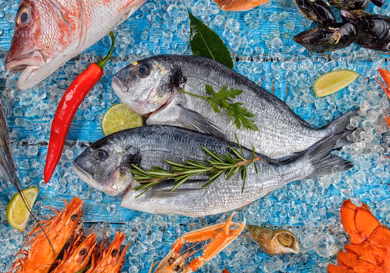 Poissons et fruits de mer frais sur glace au marché de Piran, Slovénie
