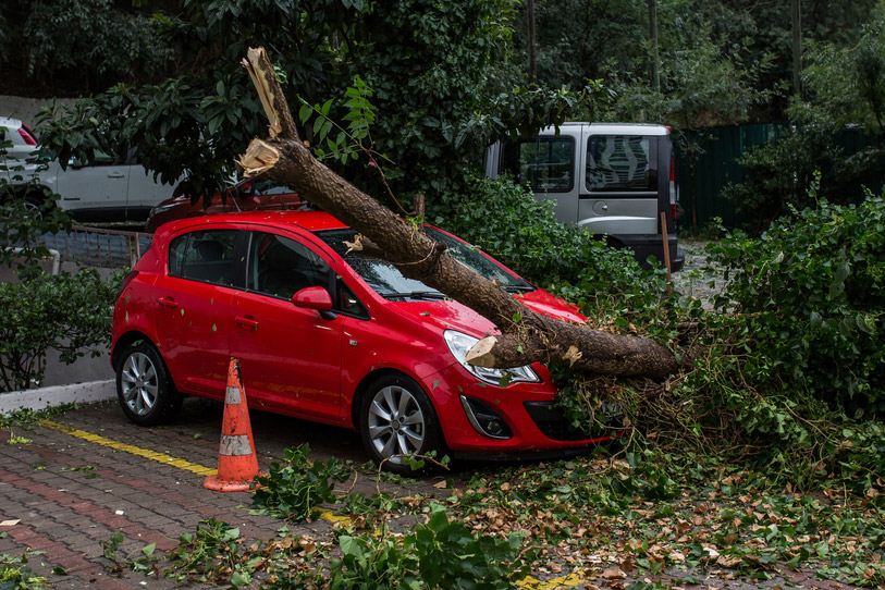 What Is a Statutory Write-Off, and What Are Your Options?