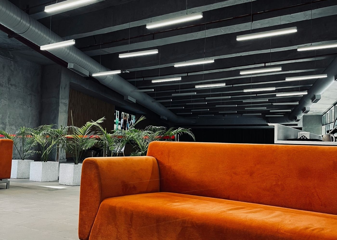 Office Lease Strategy for Tech Tenants in a Selective Funding Mar