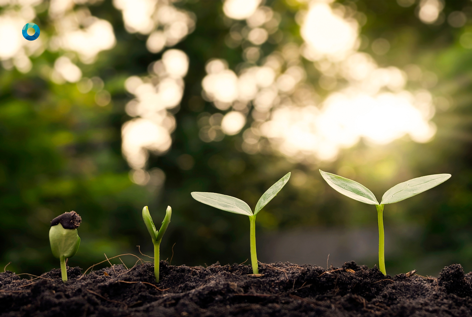 The Hidden Cost of Manual Supplier ESG Assessments