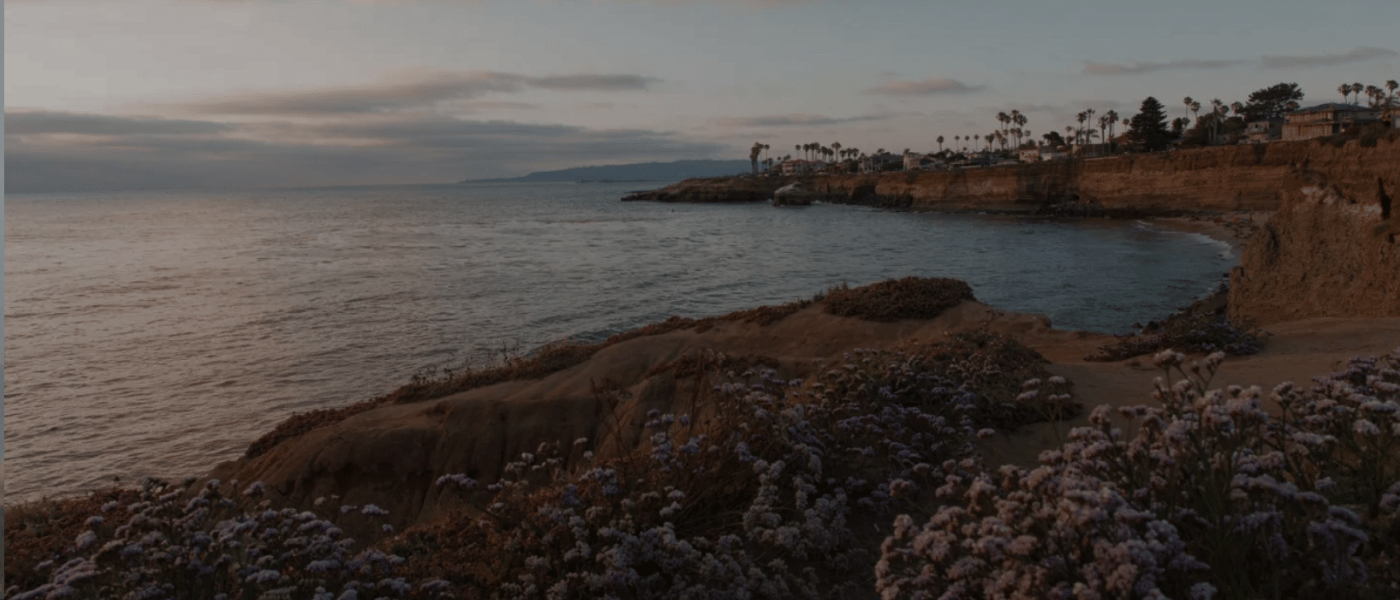 Flowers at the beach 