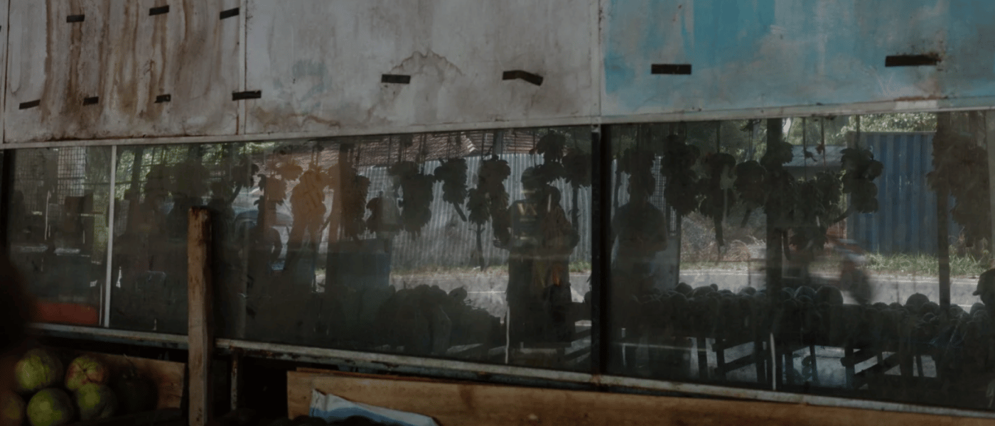 Reflection in a window