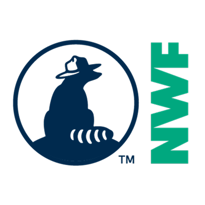 Logo NWF
