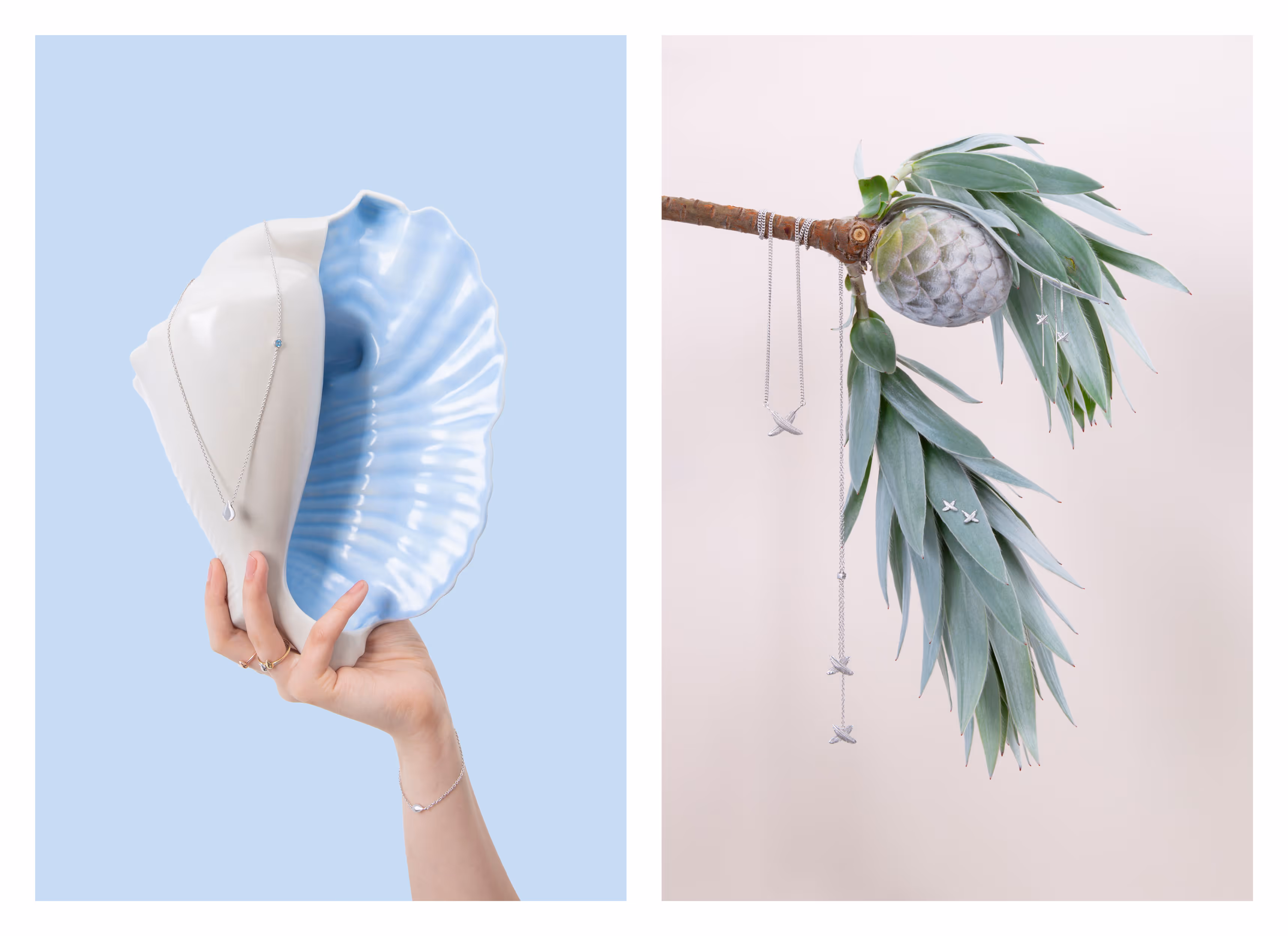 Boh Runga Jewellery collection styled with shell and native NZ botanicals — product photography by Blink, Auckland