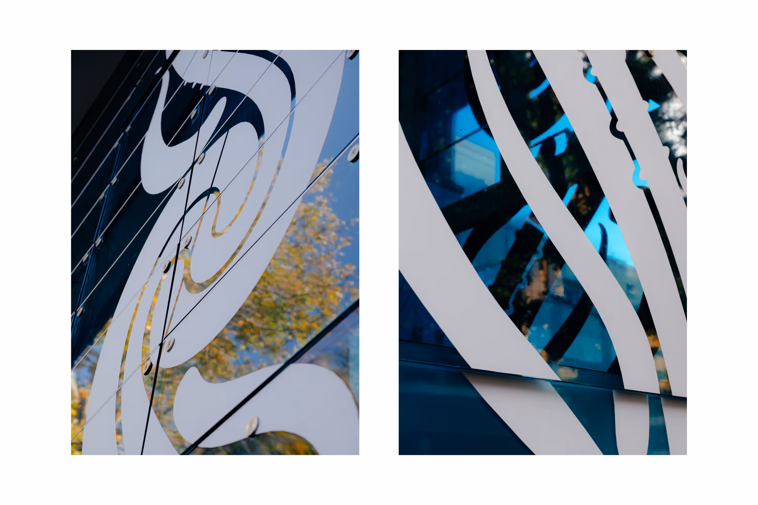 Close-up detail of clear film vinyl installation on glass facade — Te Maharatanga o Ngā Wai at Tāmaki Pātaka Kōrero Central Library, designed, fabricated and installed by Blink, Auckland