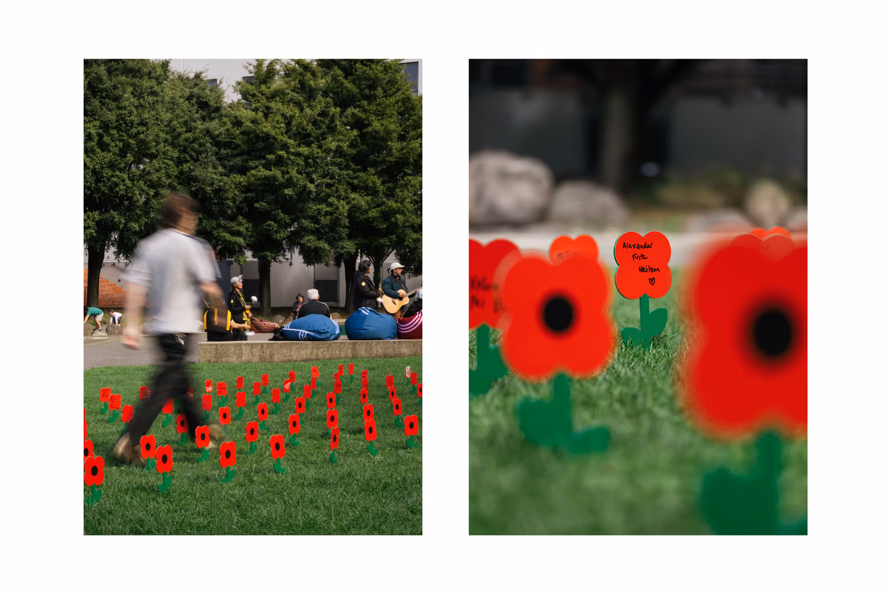 A field of memorial poppy markers set in grass, with a blurred figure walking past and people resting in the background
