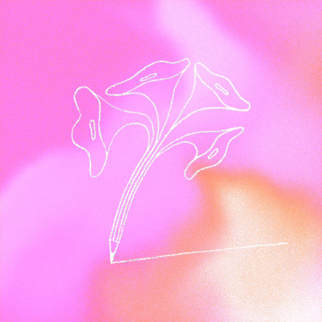 White line drawing of a pencil transforming into four flowers on a vibrant pink and orange gradient background.