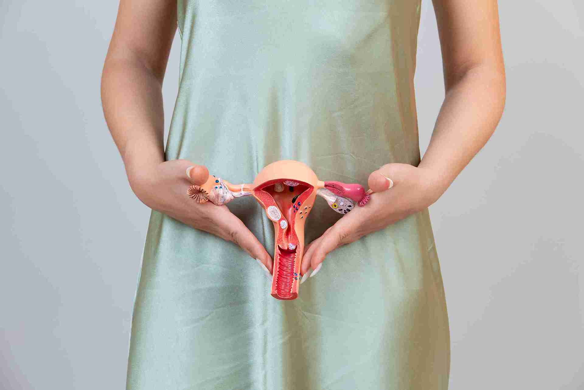 Thin Endometrium: When the Lining is Not Ready