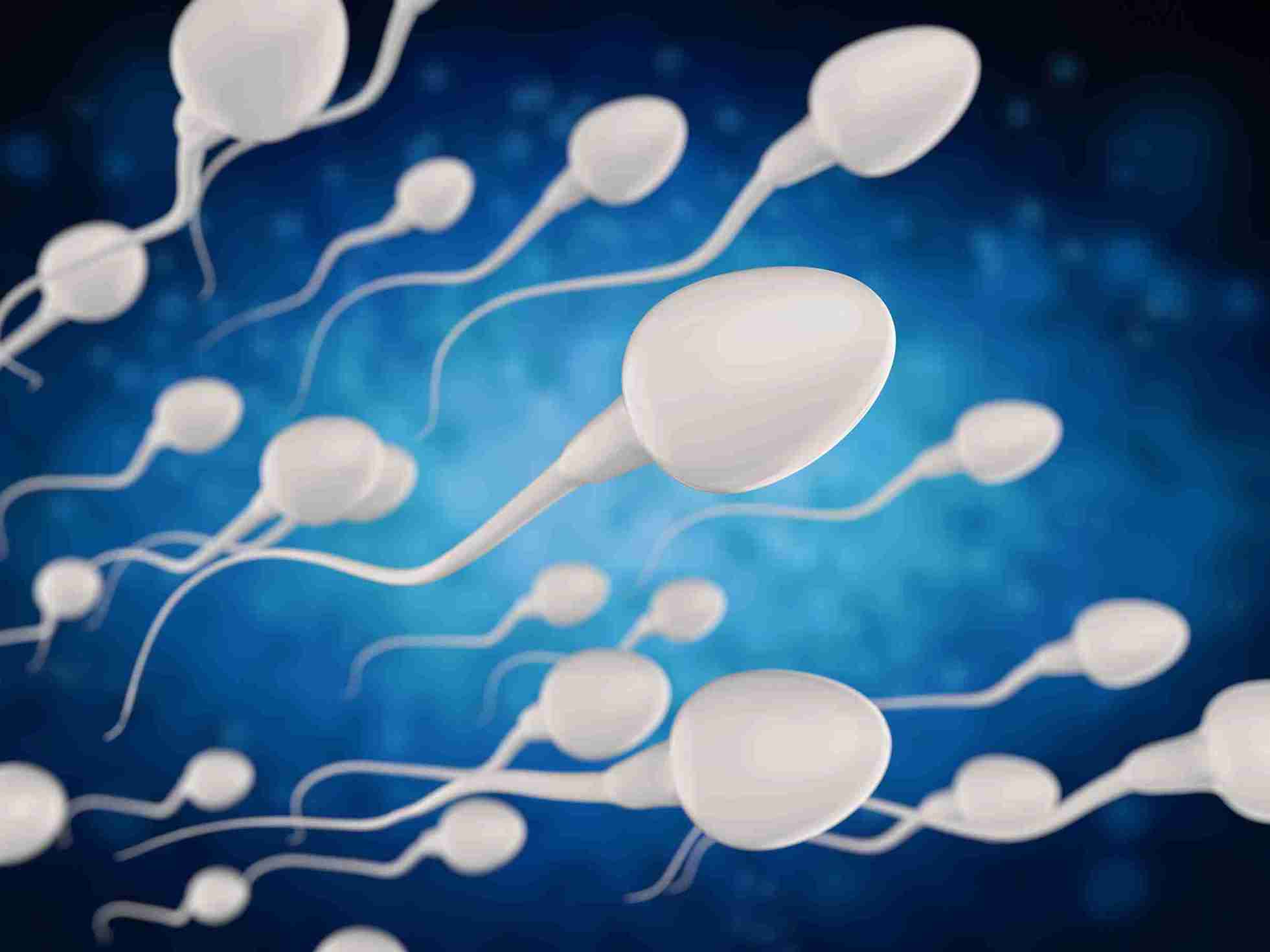 What is a Normal Sperm Count? (WHO 2021 Standards)