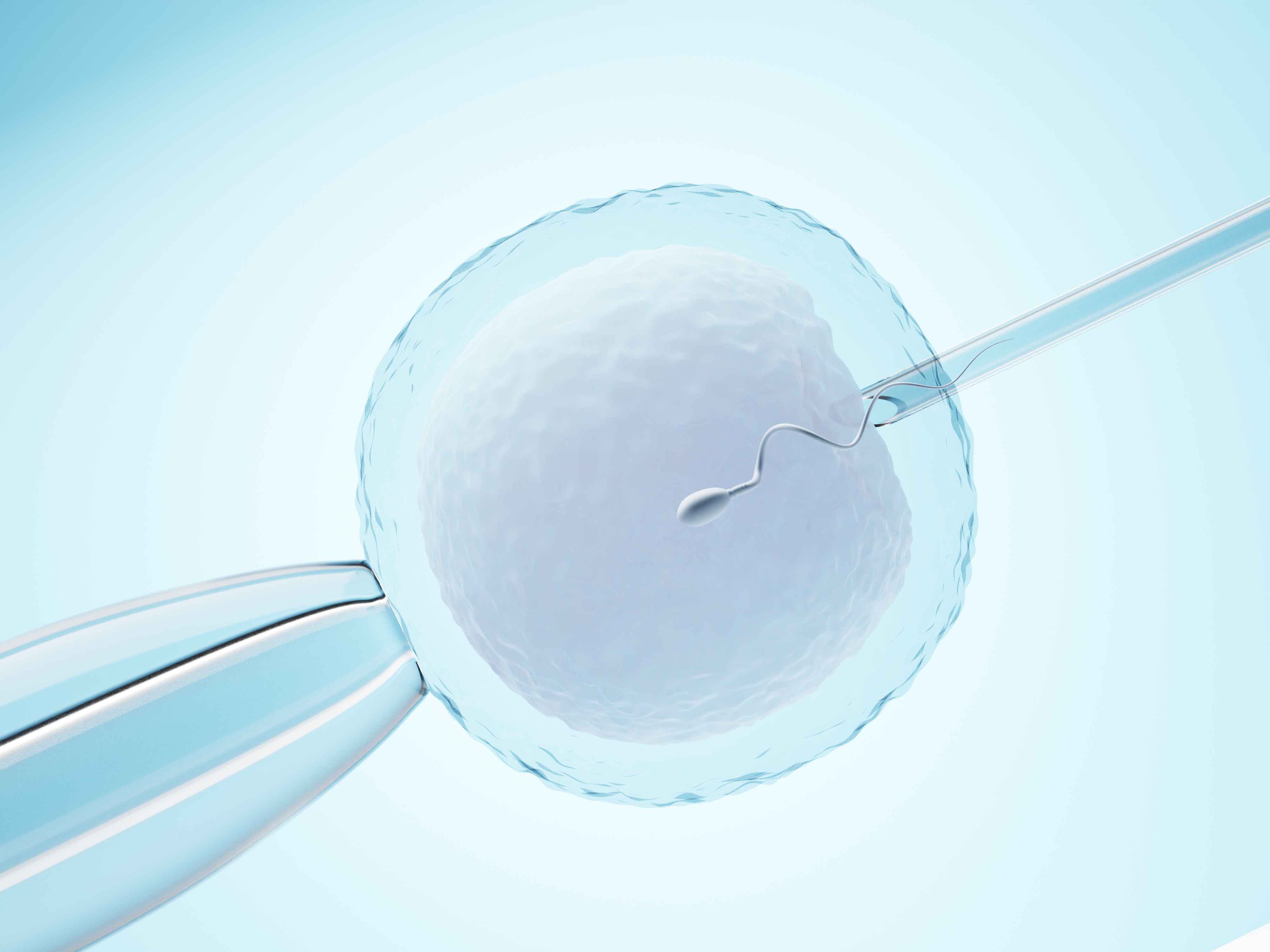 Factors that influence your egg freezing outcome