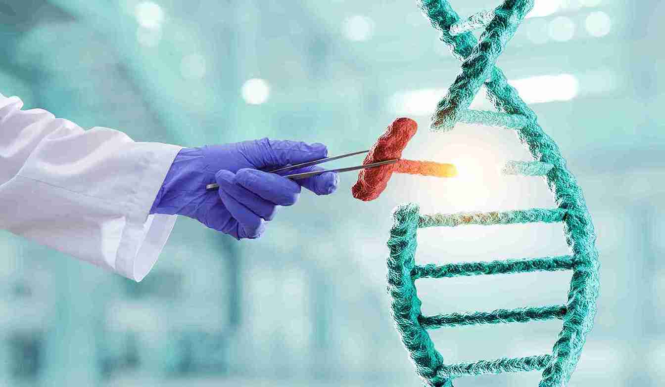 Preimplantation genetic diagnosis