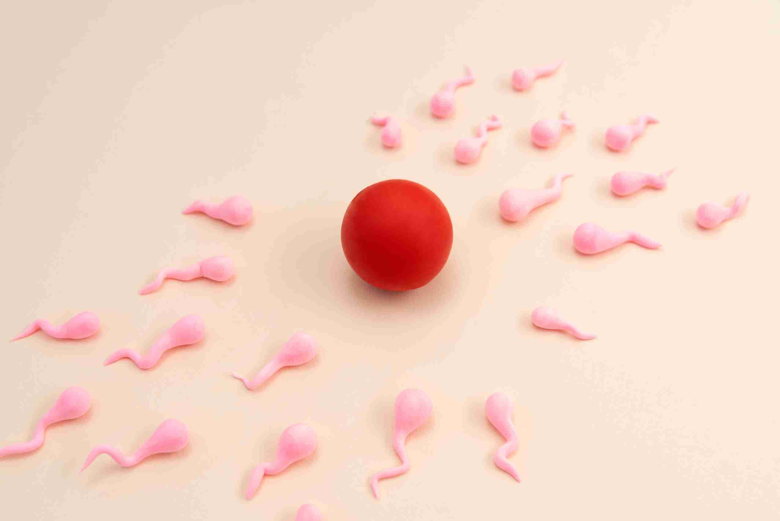 Surgical sperm retrieval: TESA, PESA, TESE, and micro-TESE