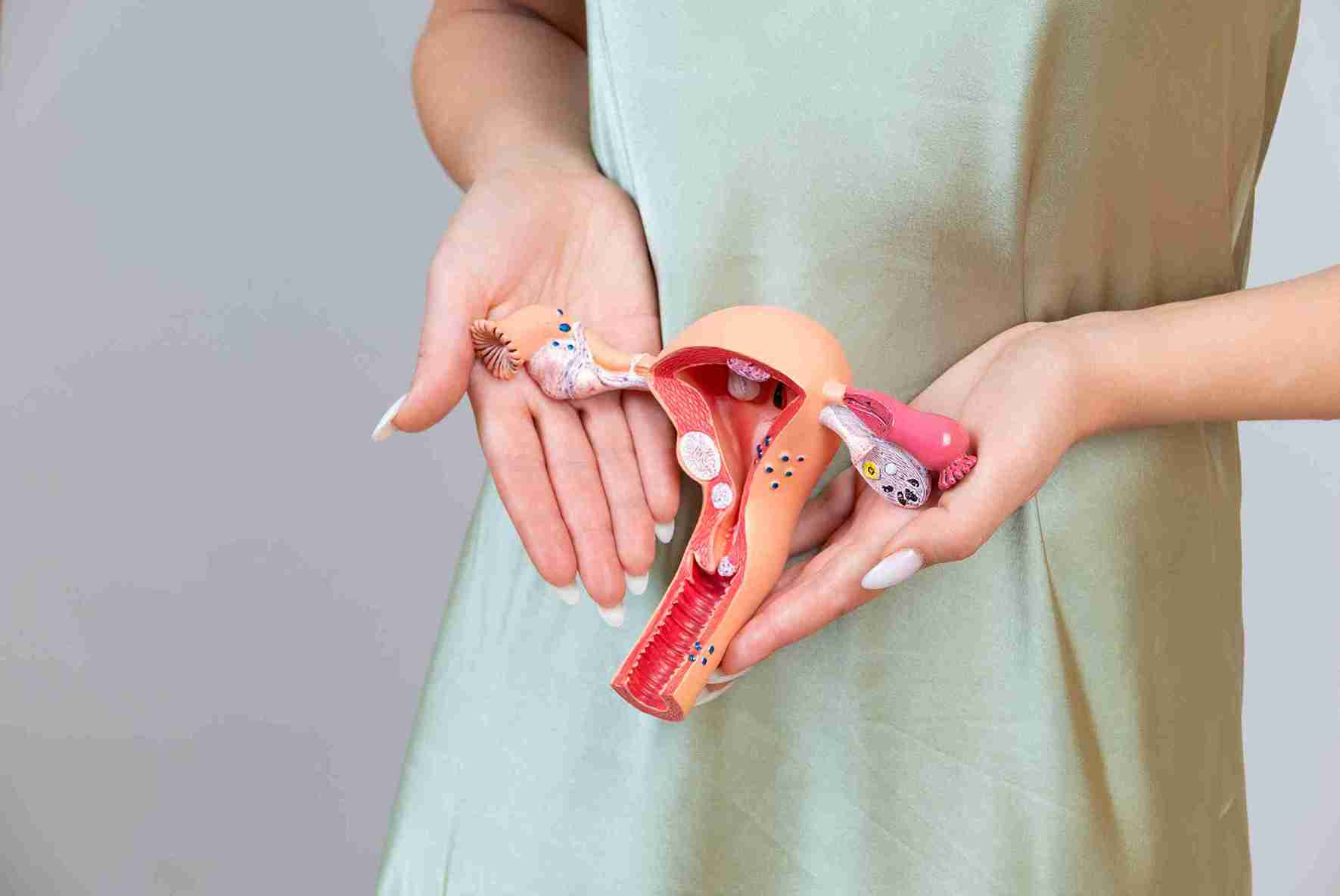 What is premature ovarian insufficiency?