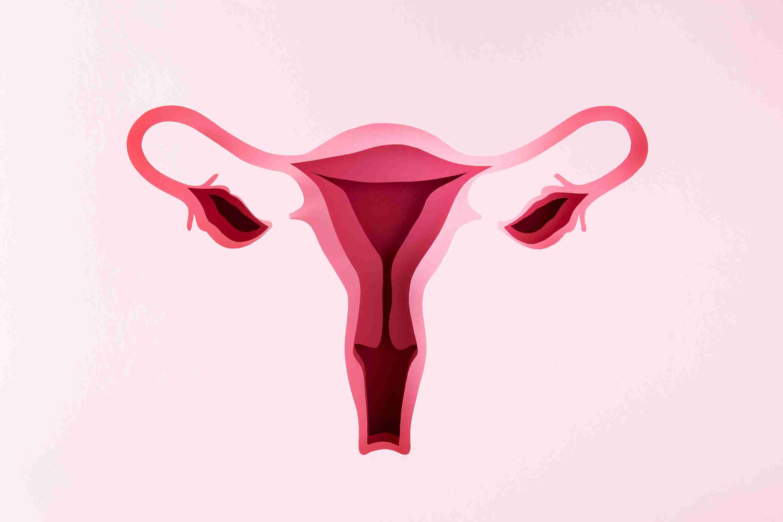 What is fertile (egg-white) cervical mucus?