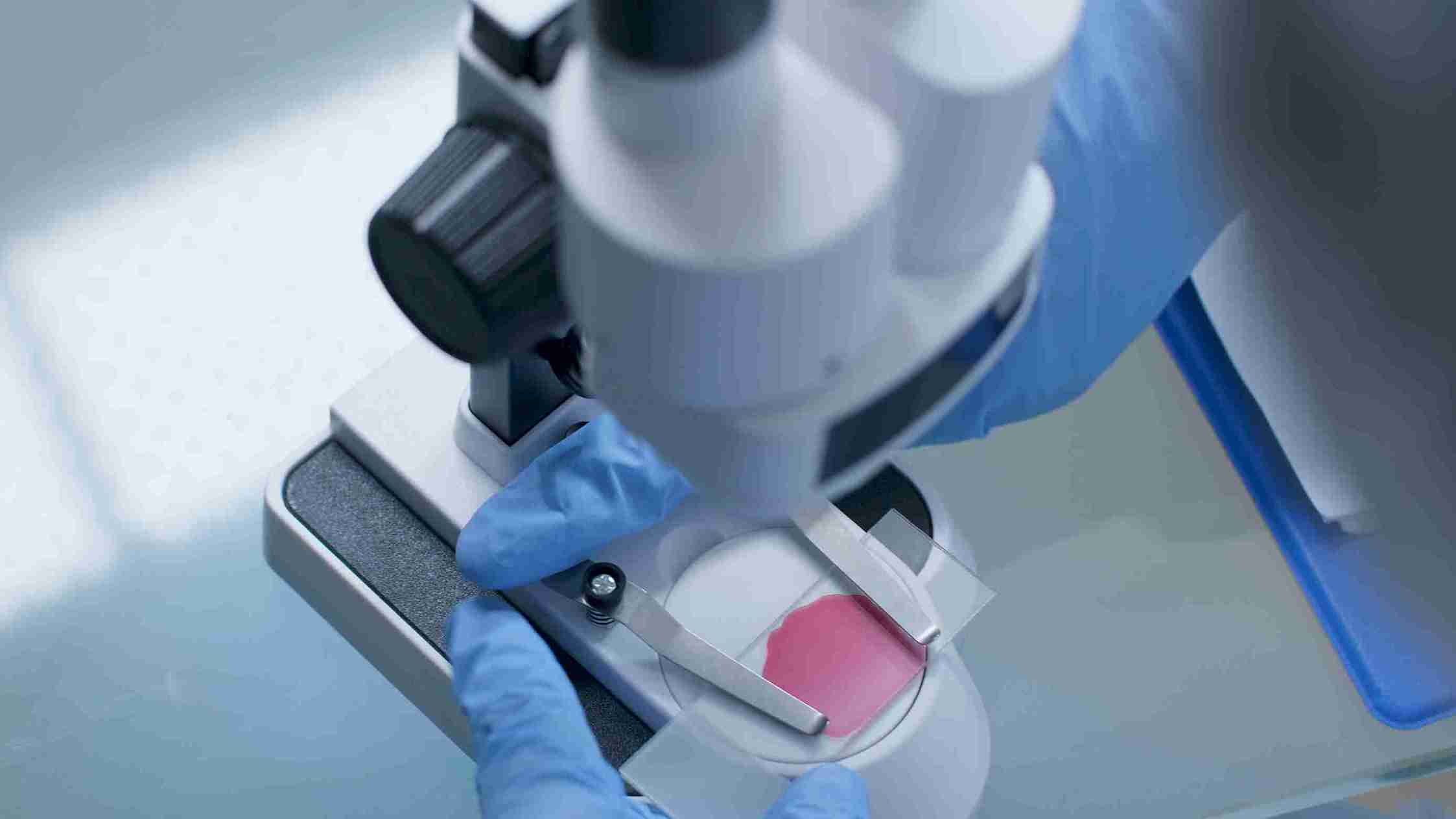 Art IVF Technology