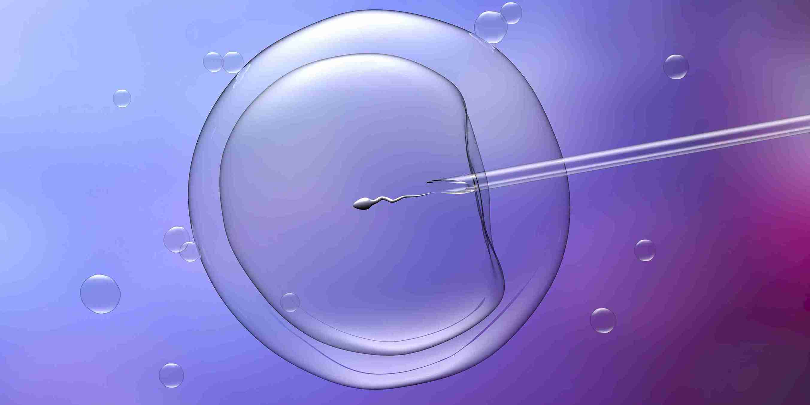 India’s first IVF baby