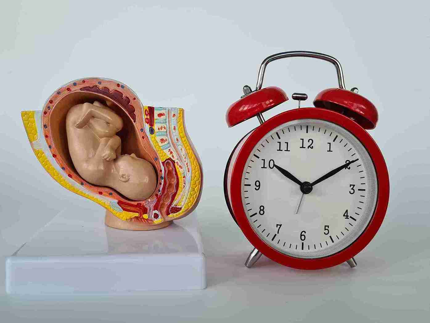 both men and women starts ticking when they hit their 30s