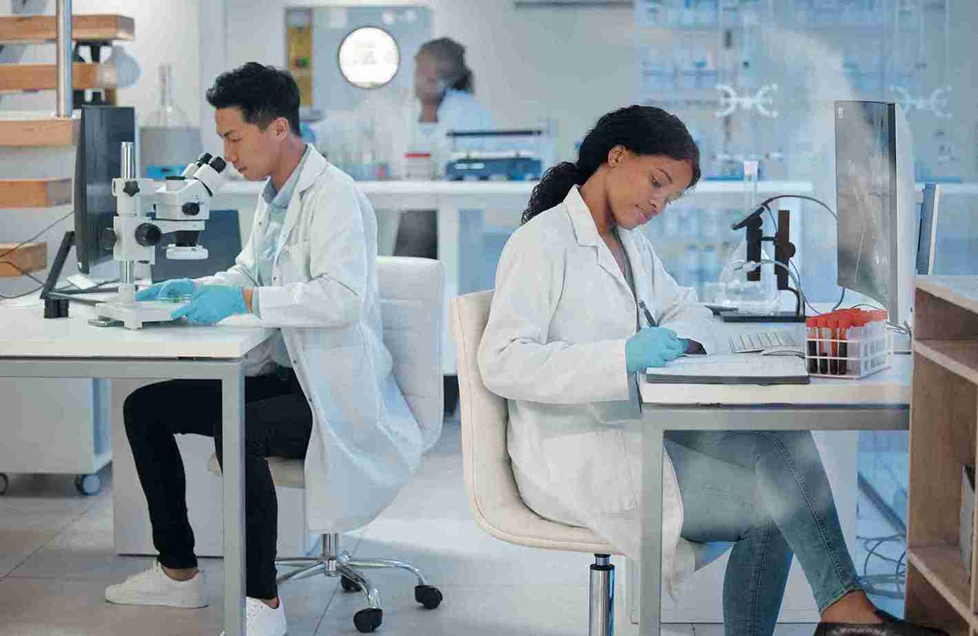 normal IVF process