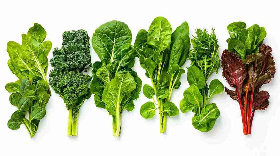 Best foods to support egg quality