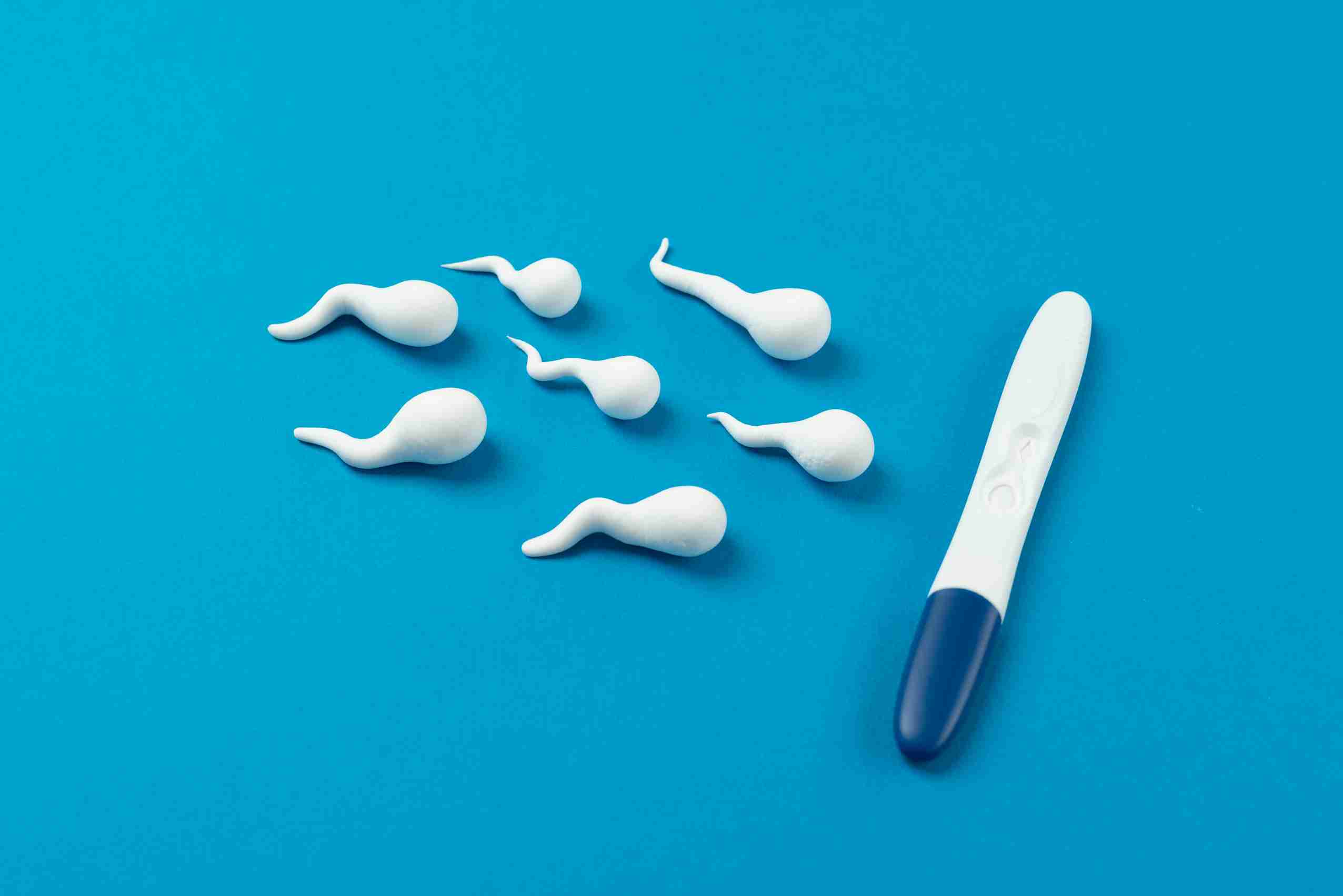 Sperm count and motility