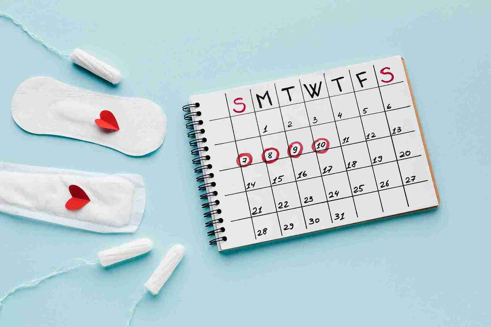 second or third day of the menstrual cycle