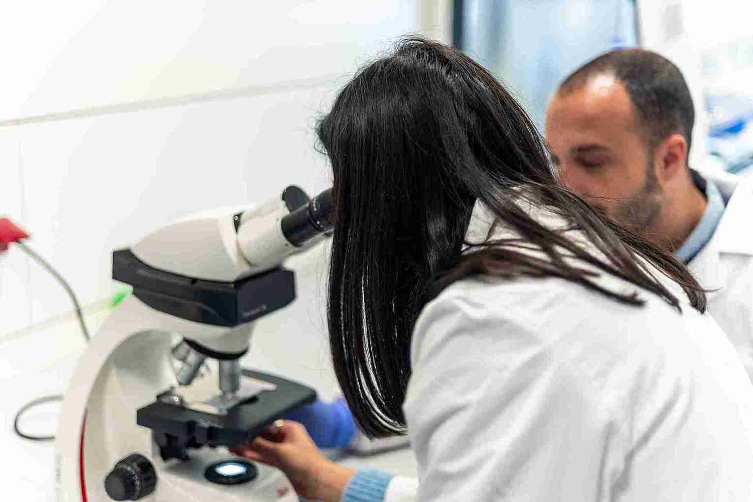 What does a follicular study actually measure