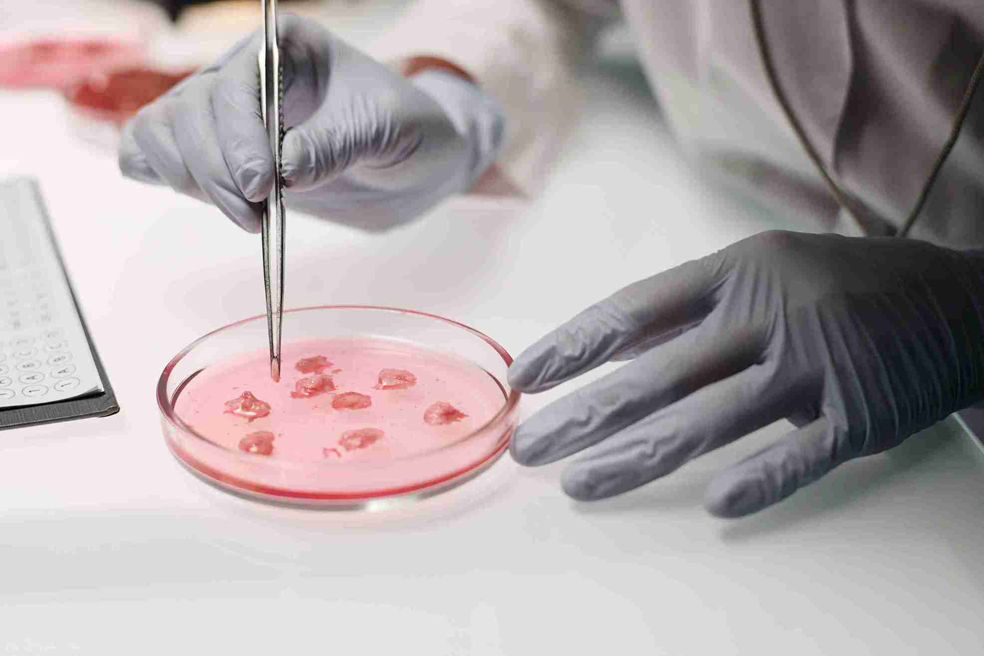 Why does oocyte quality matter so much?