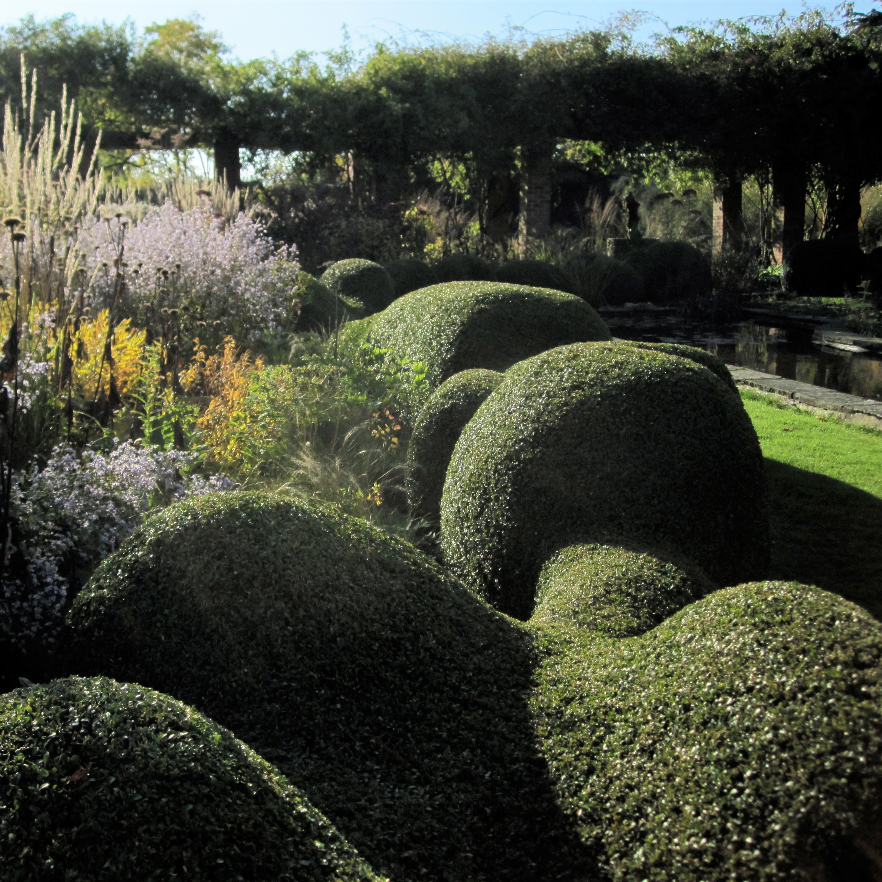 Topiary Skills Workshop