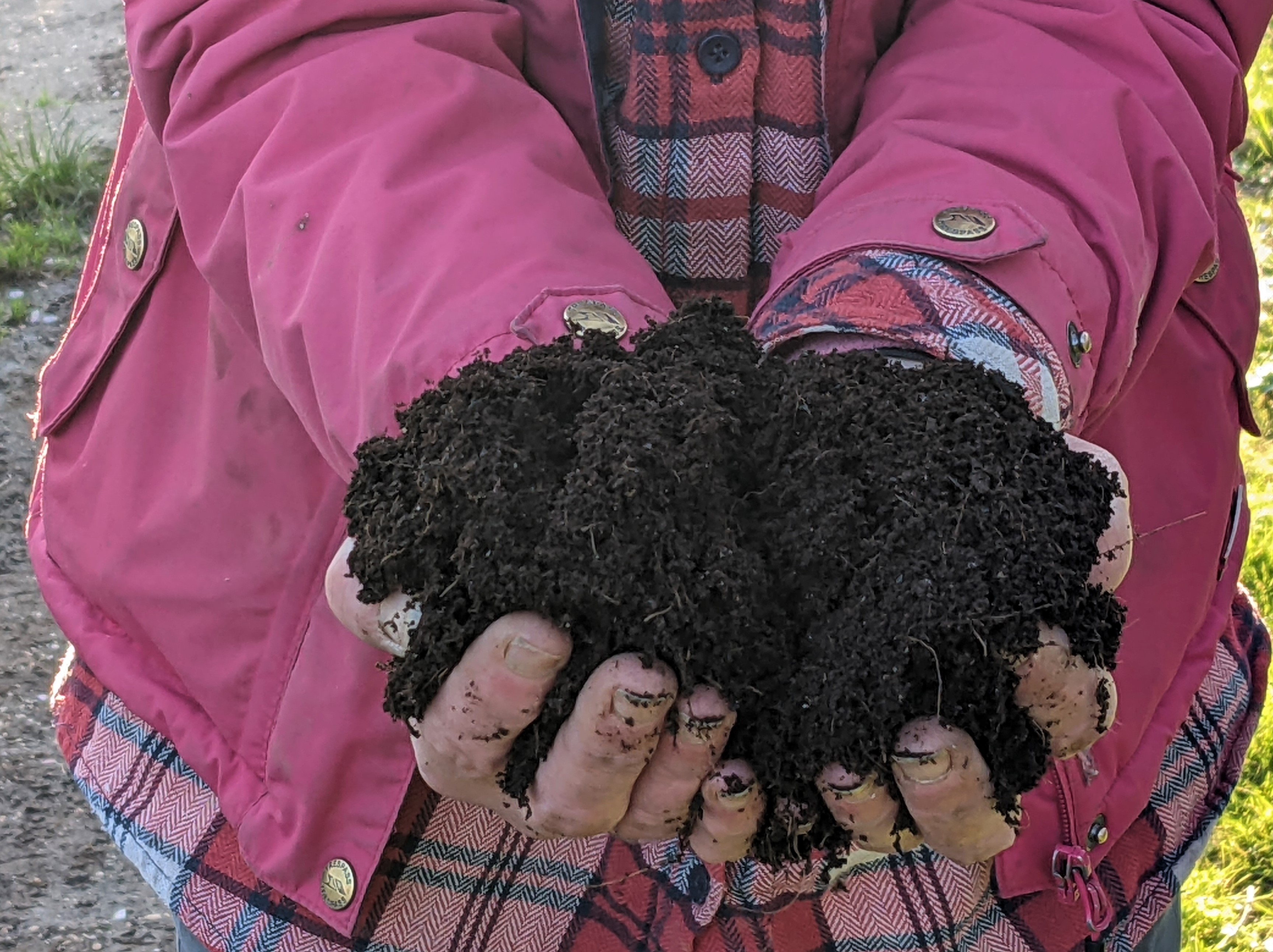 Make Your Own Compost