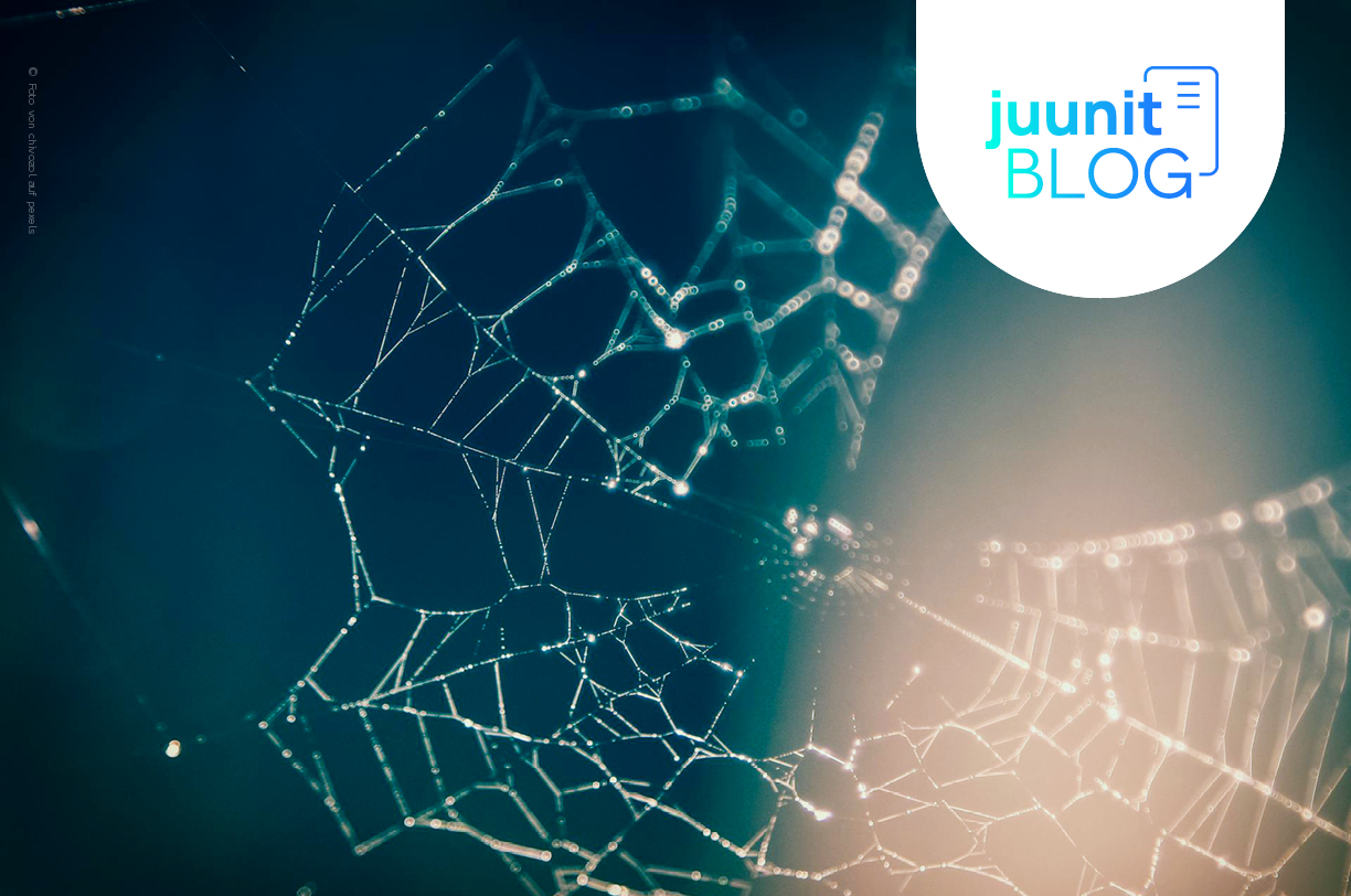 Netzwerk-Hub vs. Switch: Funktion und Bedeutung einfach erklärt