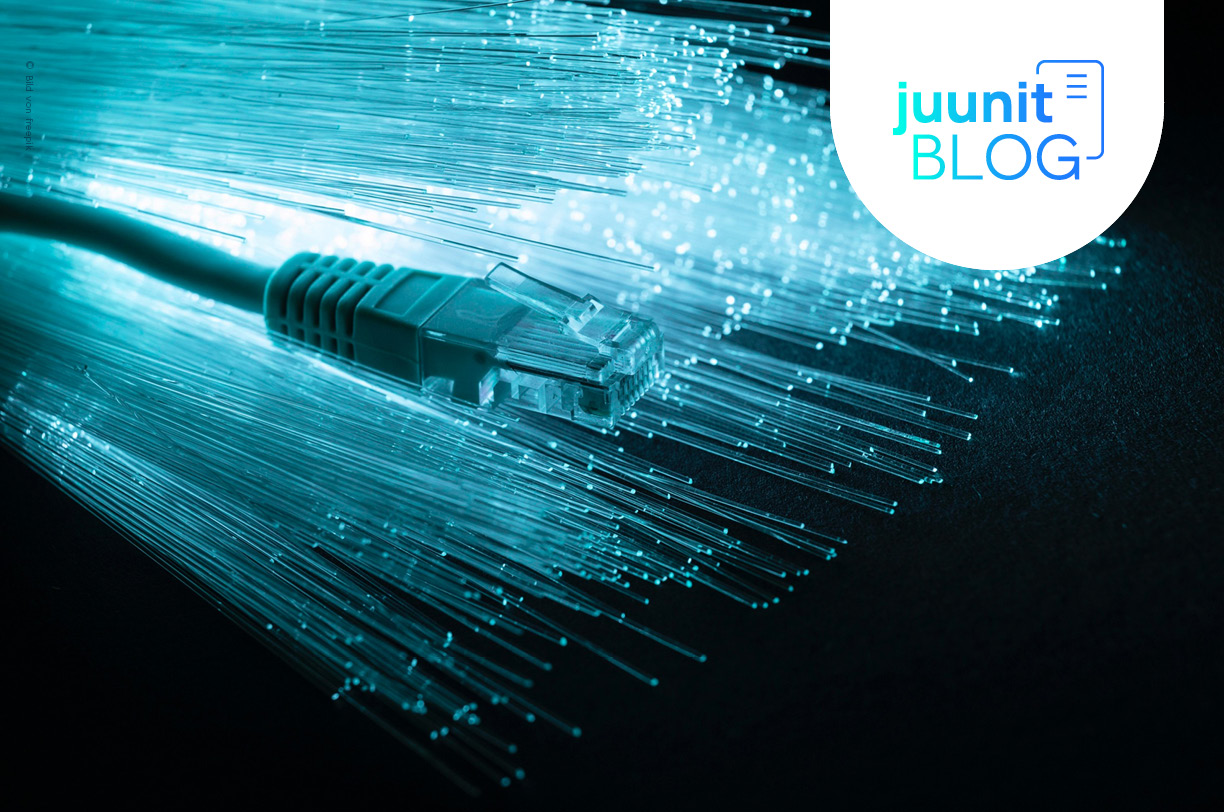 LAN (Local Area Network): Was Geschäftsführer*innen über lokale Netzwerke wissen müssen