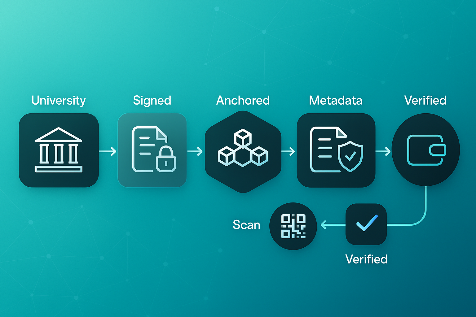 Horizontal infographic showing credential verification steps from university to wallet, scan, and verified, with icons and connecting lines.