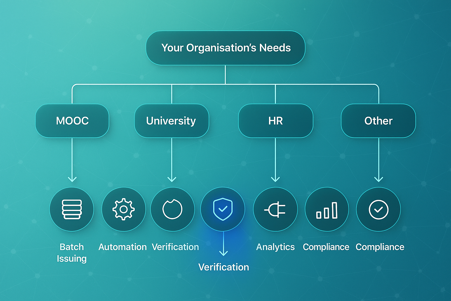 Horizontal decision-tree infographic showing organizational needs branching to MOOC, University, HR, and Other, with criteria icons below.
