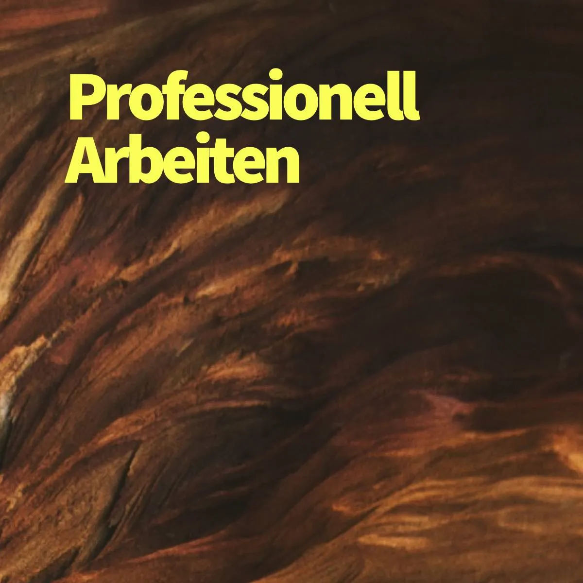 Was heißt professionell arbeiten wirklich?