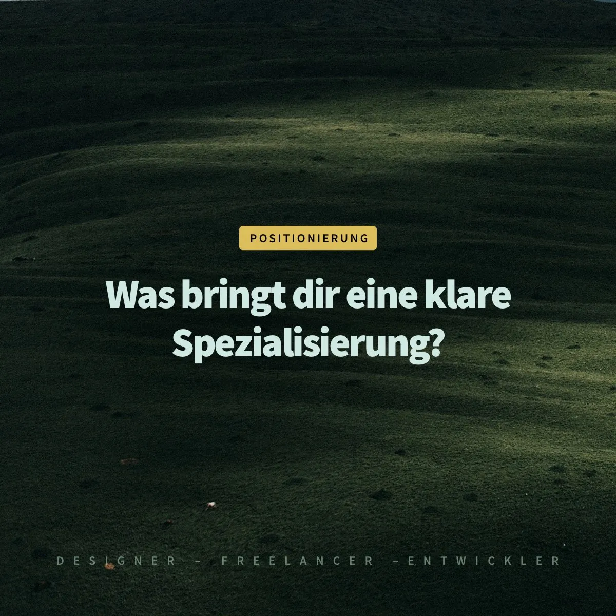 Thema Positionierung: Worauf solltest du dich als Webdesigner spezialisieren?