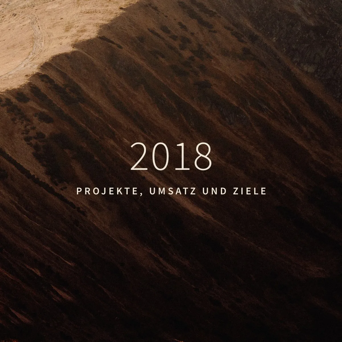 Meine Projekte, Umsatz und Ziele als Webdesigner – 2018