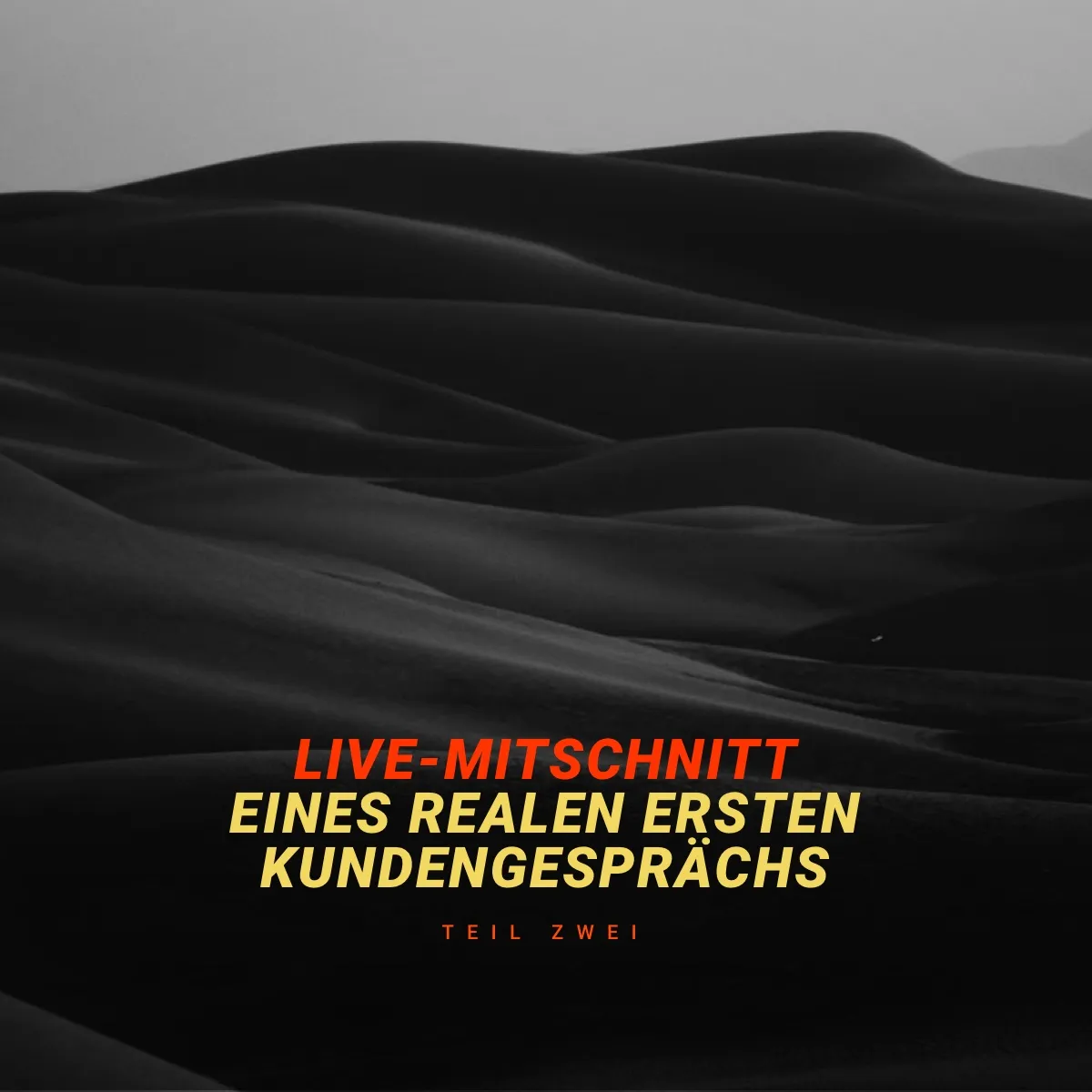 Aufnahme eines realen ersten Kundengesprächs – neue Redesign Projektanfrage (Part 2)