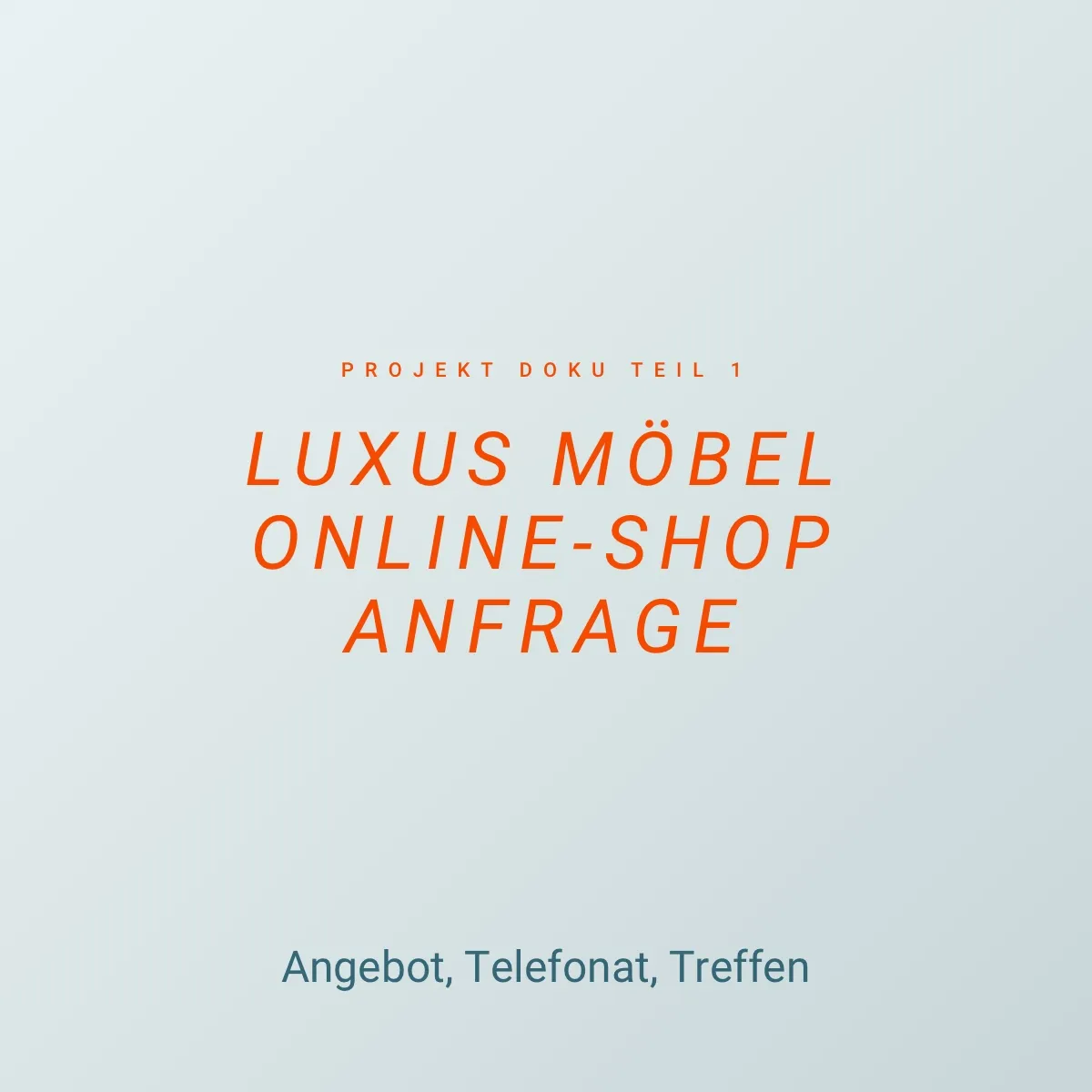 Luxus Möbel Online Shop Anfrage – Angebot, Telefonat, Treffen – Projekt Doku Teil 1
