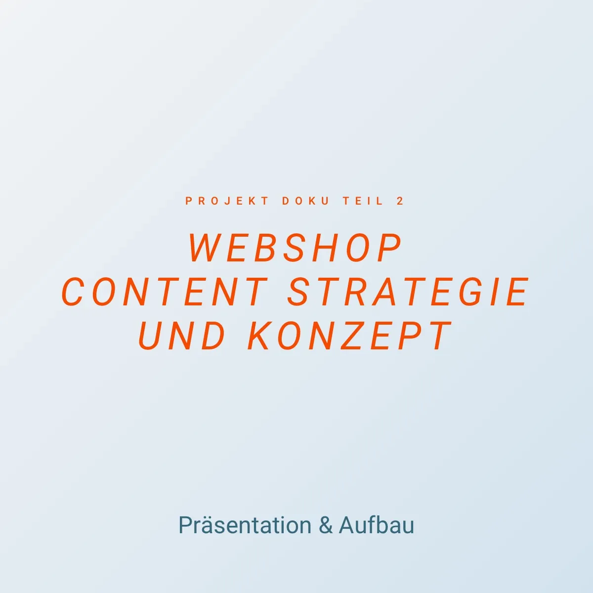 Webshop Content Strategie und Konzept - Präsentation & Aufbau - Doku 2
