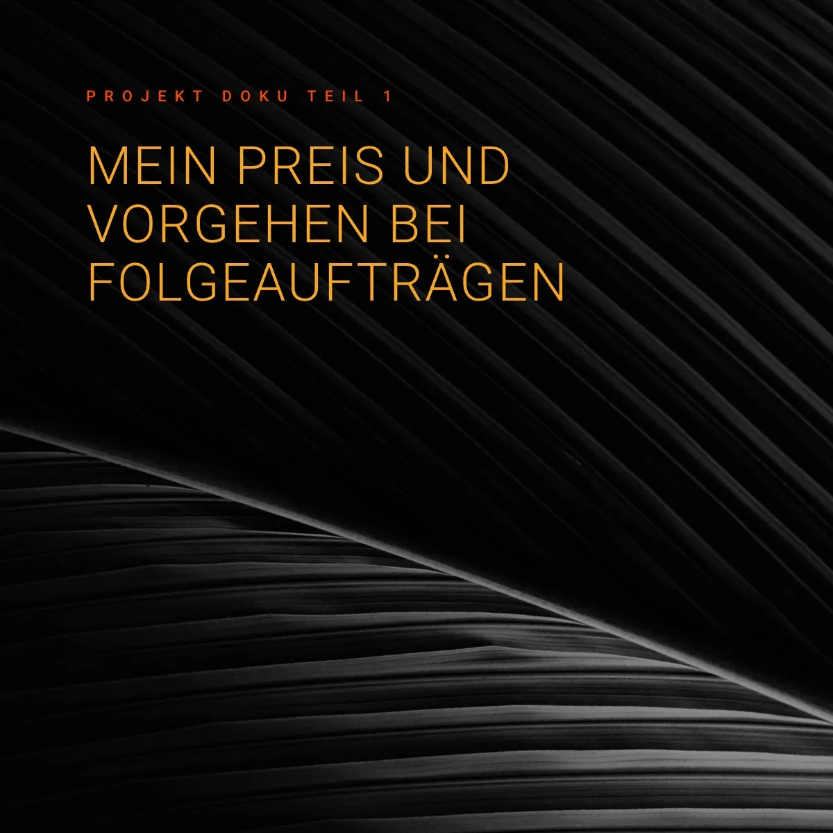 Neuer Online Shop Auftrag (Mai 2020) – Mein Preis und Ablauf bei Folgeaufträgen - Doku 1