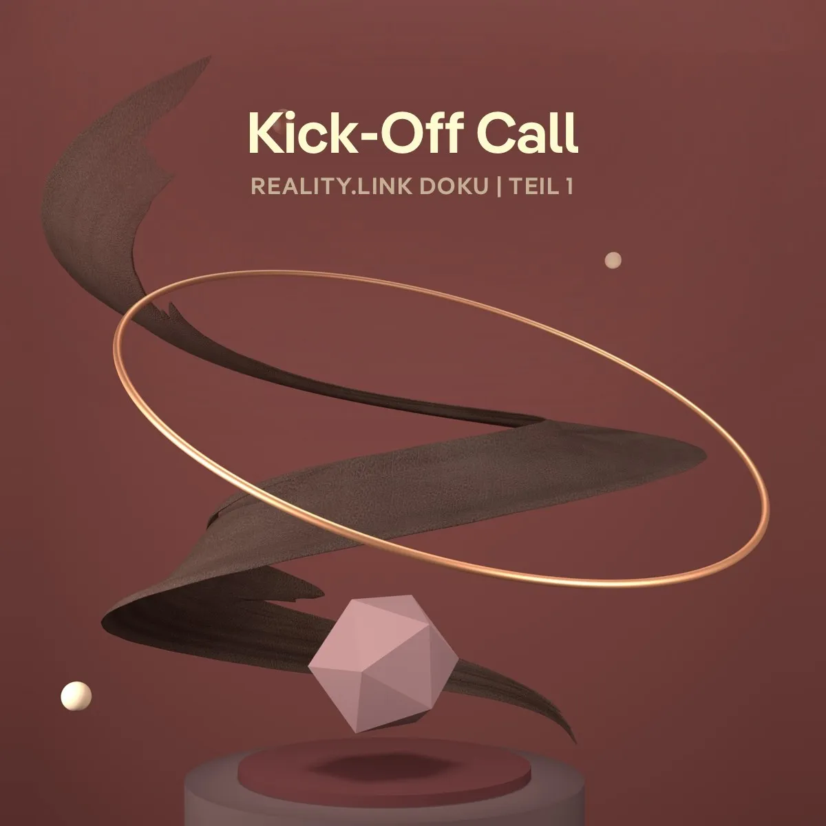 Webdesign Kick Off Call – Reality Link Doku 1