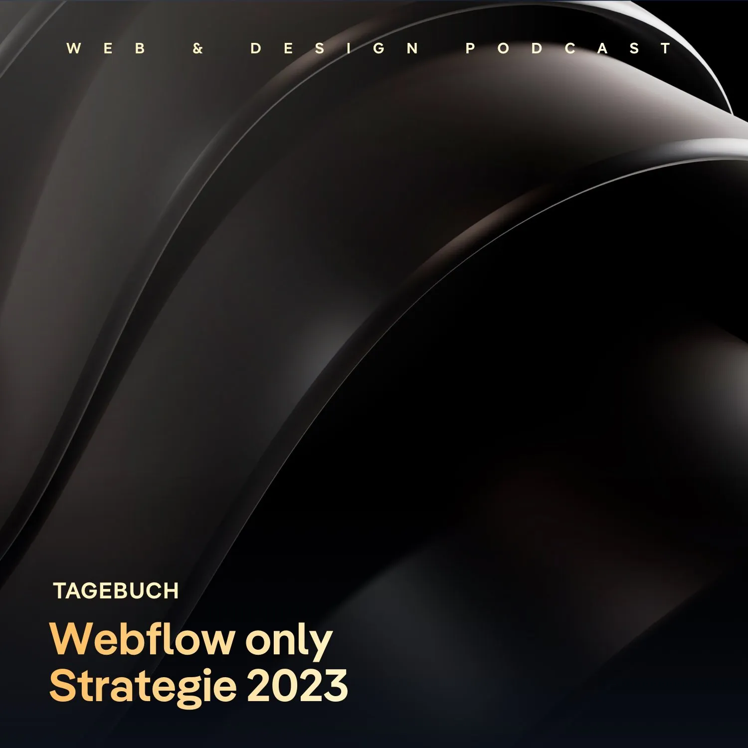 Tagebuch: Neuer 30k+ Kundenauftrag, Webflow only Strategie 2023, Zusammenarbeit mit Designer